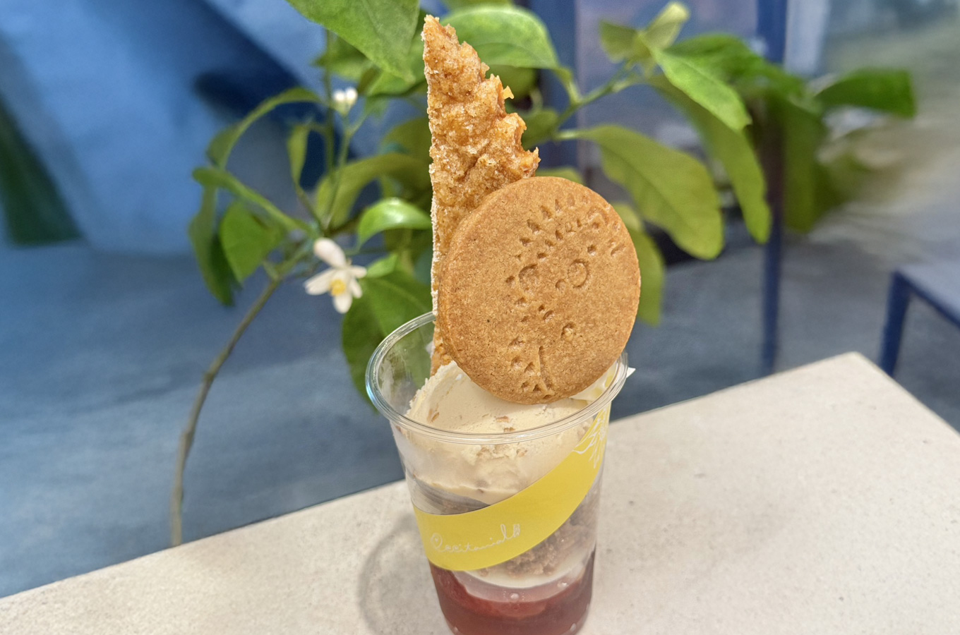 秋のミニパフェ 出張オクシタニアル ラコフェススペシャル