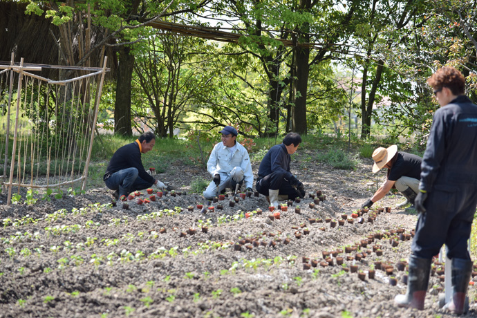 DSC_0440作業複数