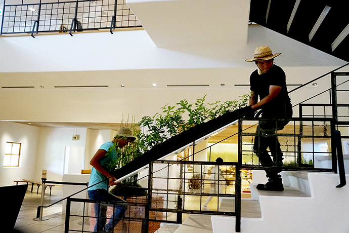 コケ山移動DSC01926_1