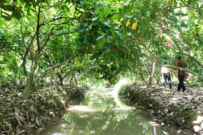 tDSC09309