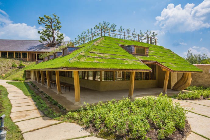 01_20160714_芝生増毛