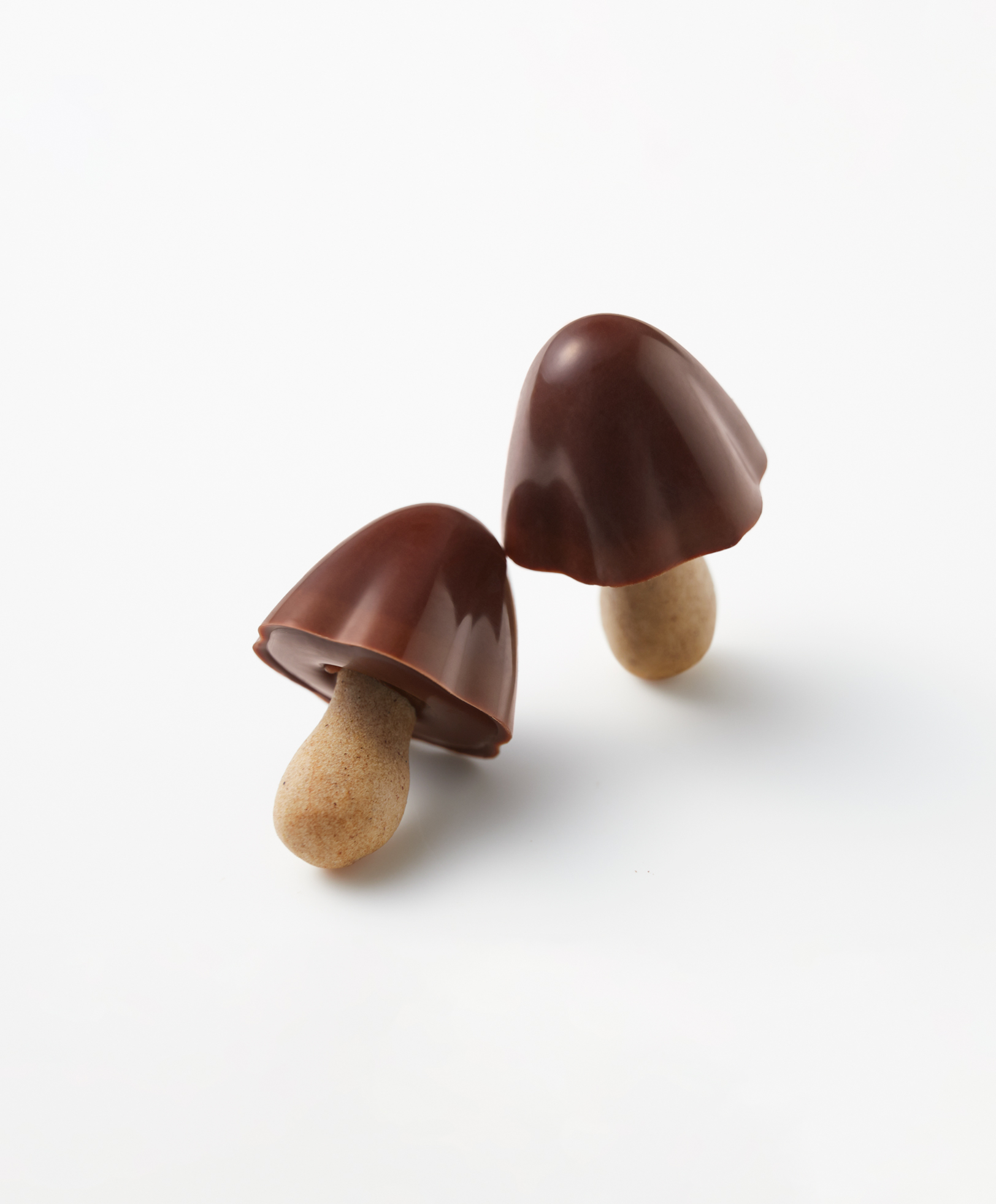 明治 きのこの山 × CLUB HARIE